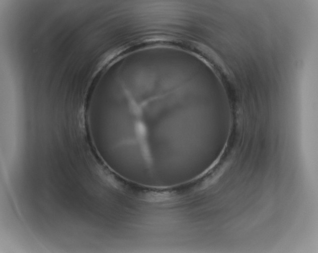 X0000113051121200909031326