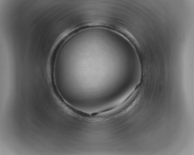 X0000113051122200909031326