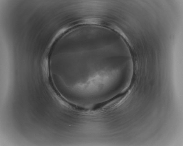 X0000113051123200909031326