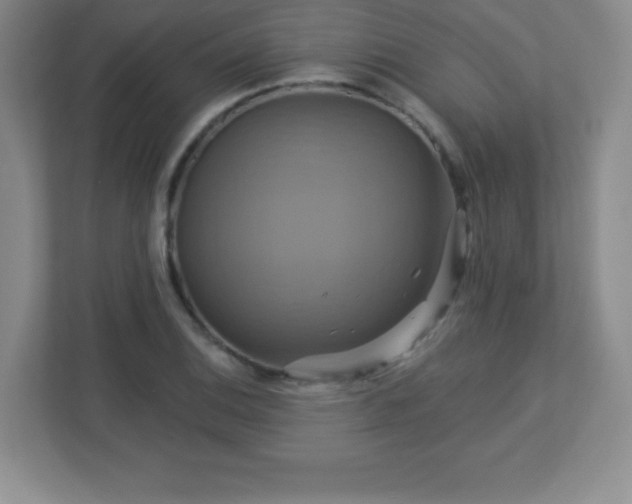 X0000113051124200909031326