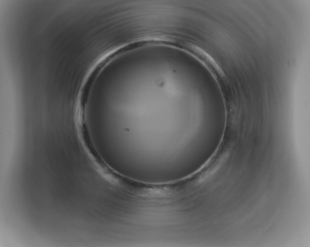 X0000113051125200909031326