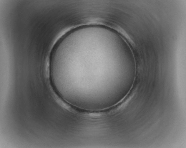 X0000113051126200909031326