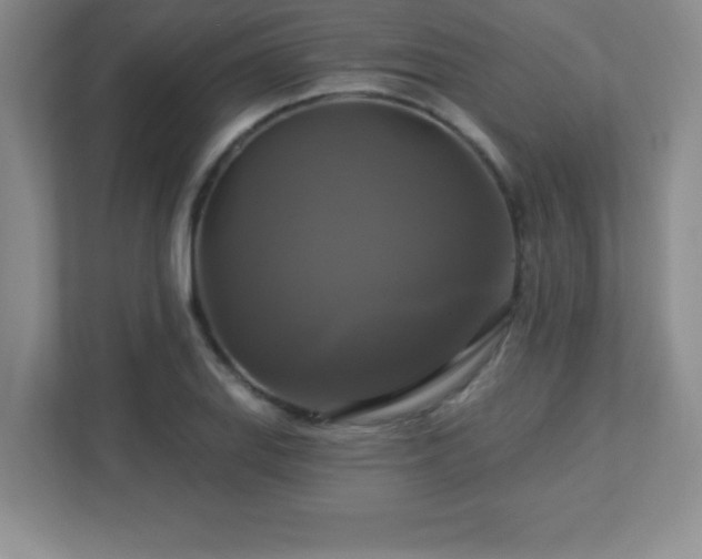 X0000113051127200909031326