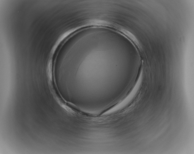 X0000113051128200909031326