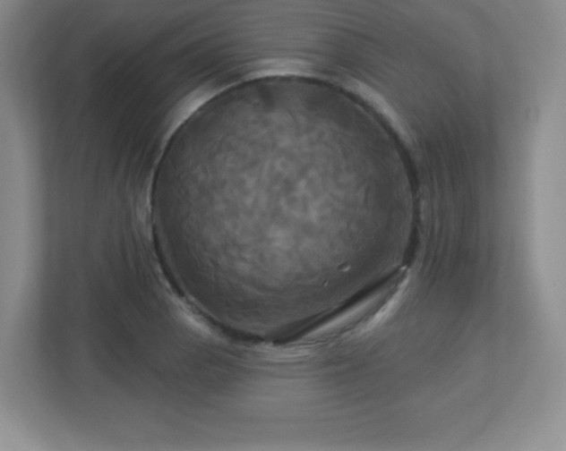 X0000113051129200909031326