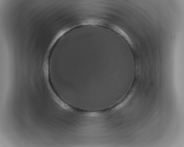 X0000113051130200909031326