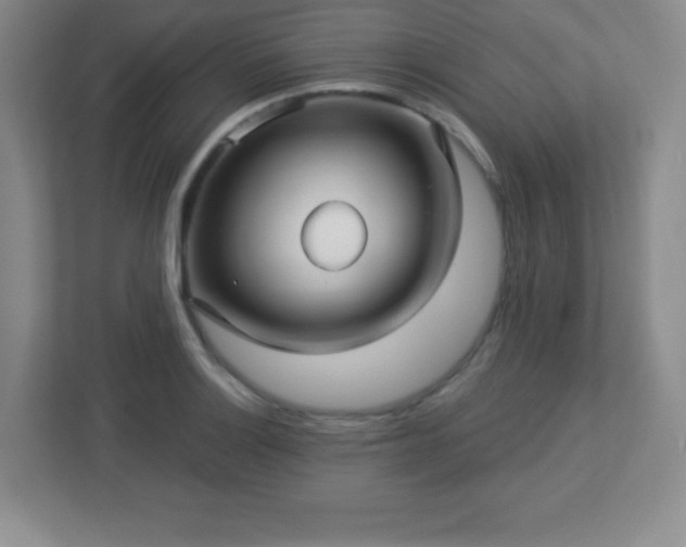 X0000113051132200909031326