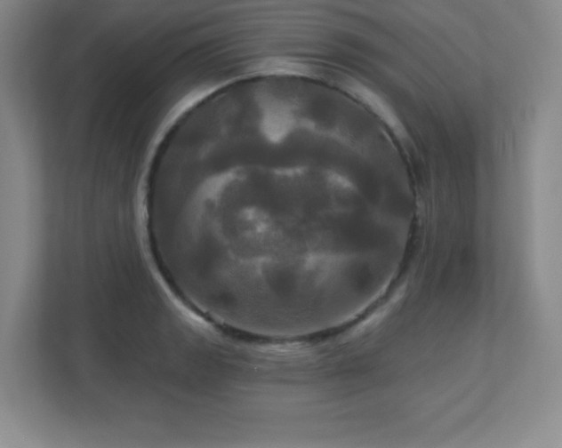 X0000113051133200909031326