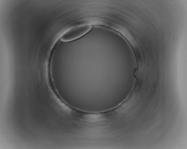 X0000113051134200909031326