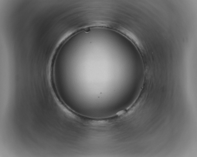 X0000113051135200909031326