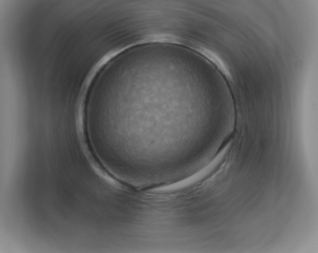 X0000113051136200909031326