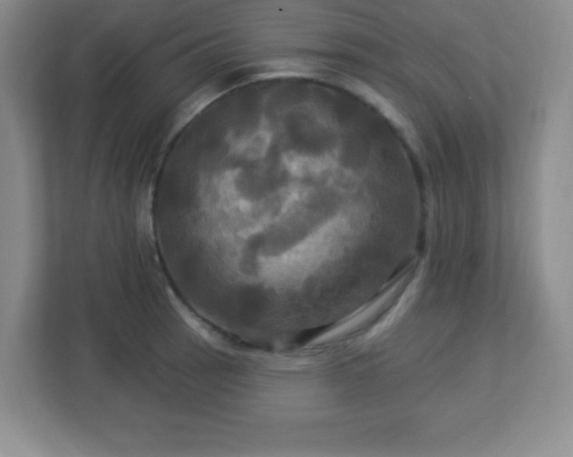 X0000113051137200909031326