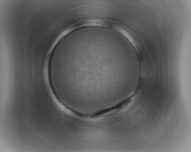 X0000113051139200909031326