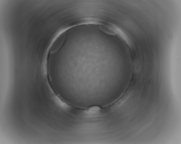 X0000113051140200909031326