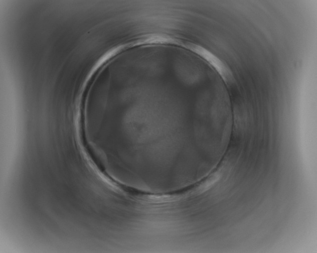 X0000113051142200909031327