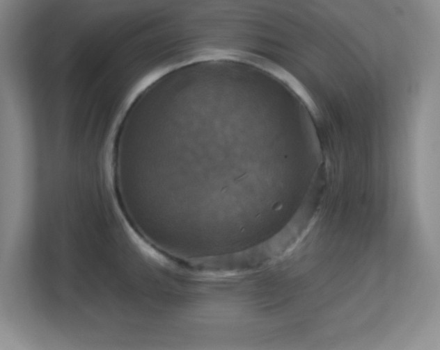 X0000113051143200909031327