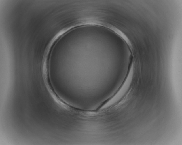 X0000113051144200909031327