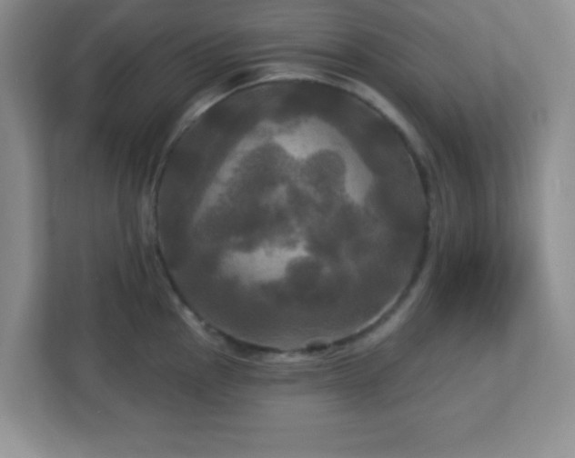 X0000113051145200909031327