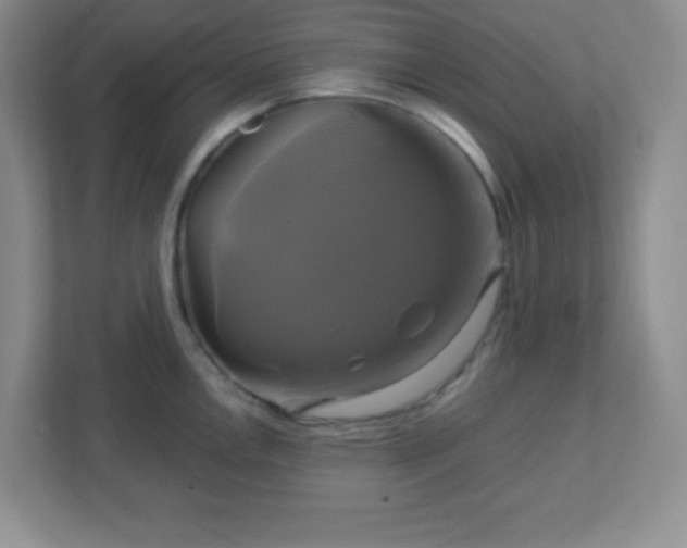 X0000113051146200909031327