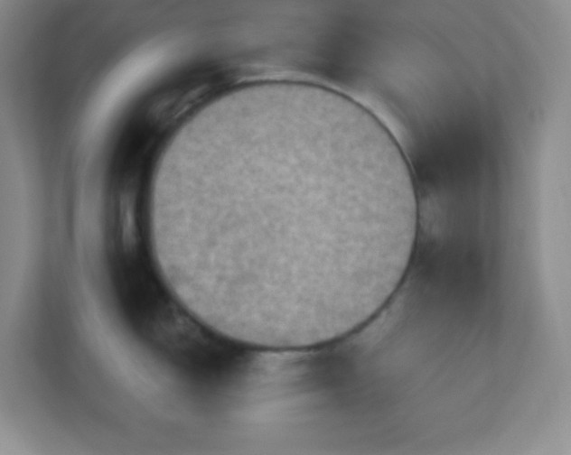 X0000113051150200909031327