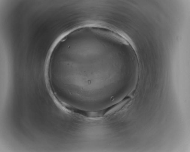 X0000113051152200909031327