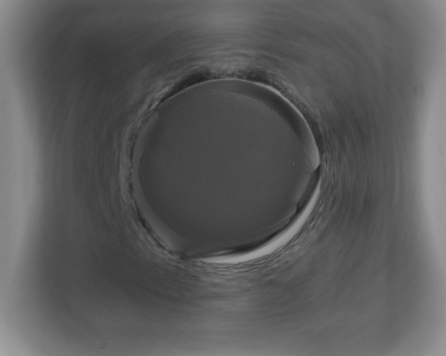 X0000113051153200909031326