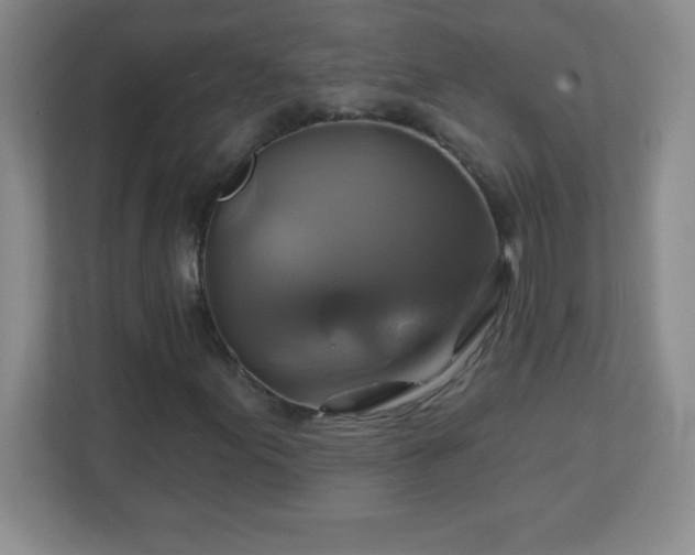 X0000113051155200909031326