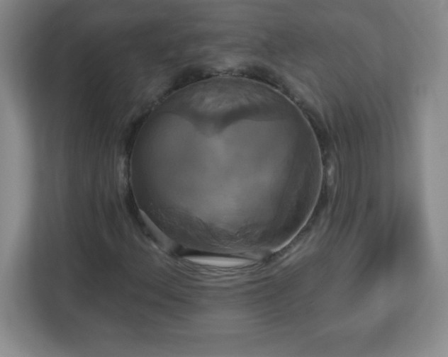 X0000113051156200909031326