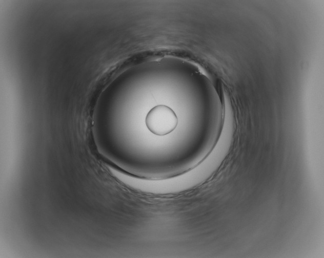 X0000113051157200909031326