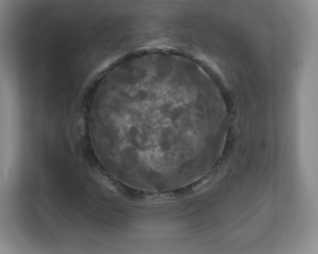 X0000113051159200909031326