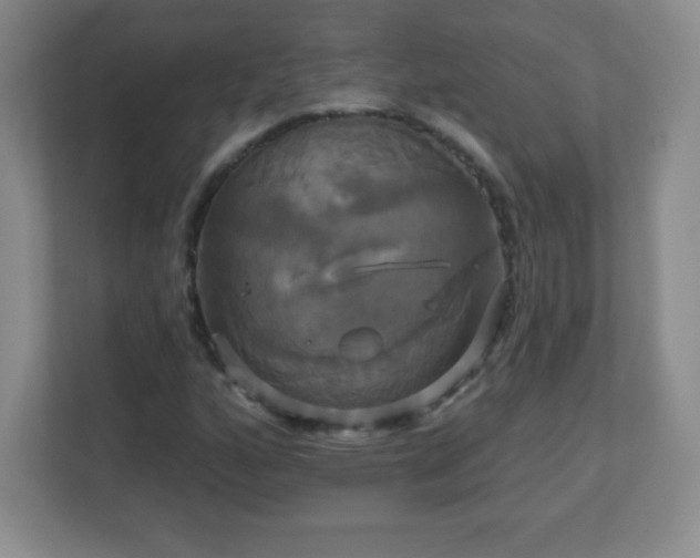 X0000113051160200909031326