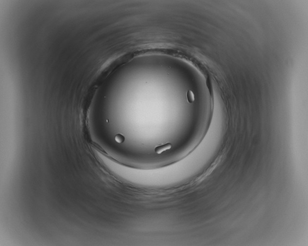 X0000113051161200909031326