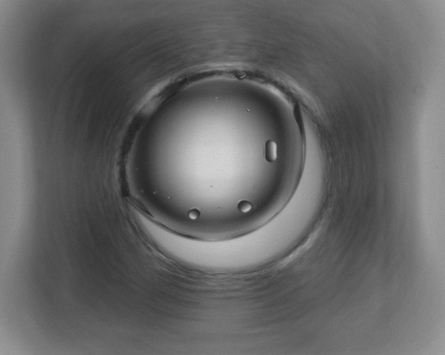 X0000113051162200909031326