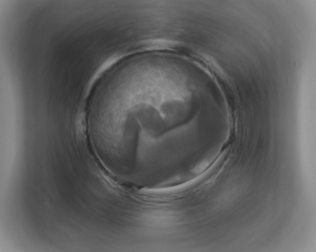 X0000113051164200909031326