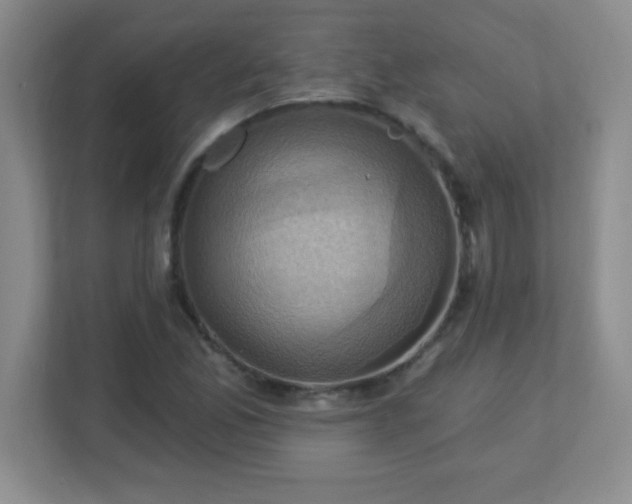 X0000113051165200909031326