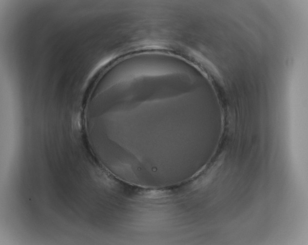 X0000113051166200909031326