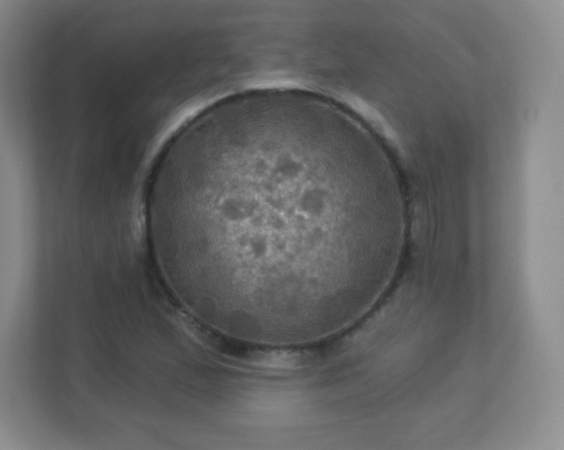 X0000113051167200909031326