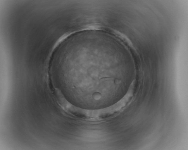 X0000113051168200909031326