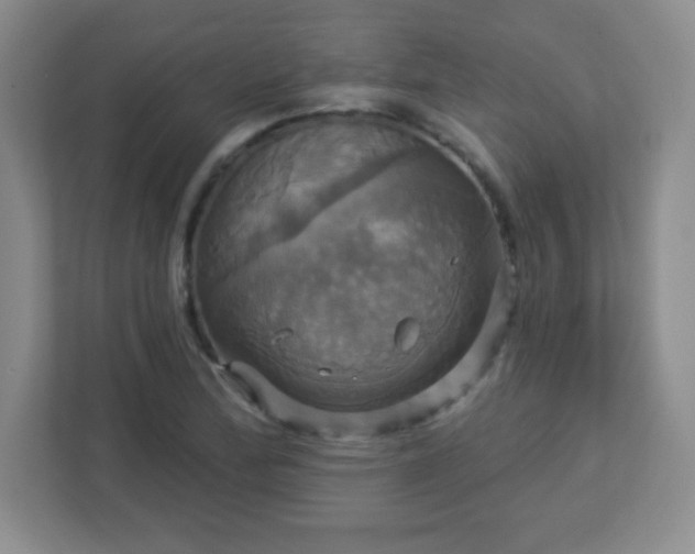 X0000113051172200909031326