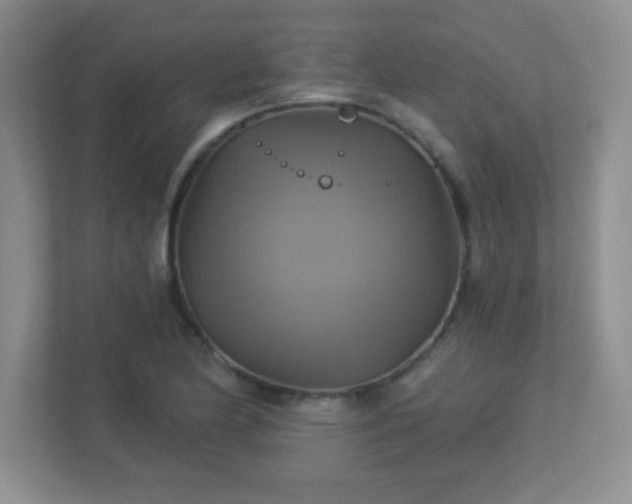 X0000113051174200909031326