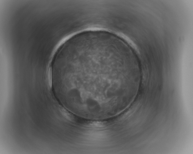 X0000113051175200909031326