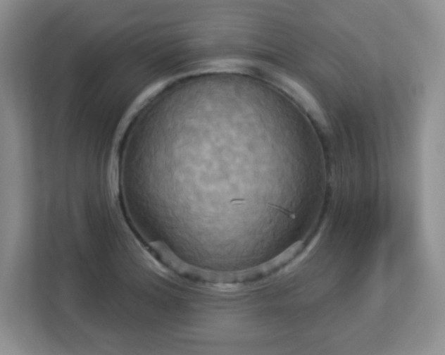 X0000113051180200909031326