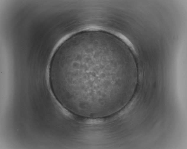 X0000113051183200909031326