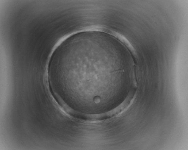 X0000113051184200909031326