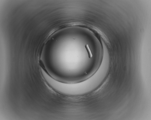 X0000113051185200909031326