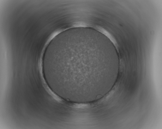 X0000113051187200909031326