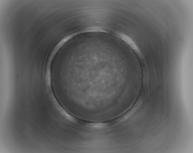 X0000113051188200909031326