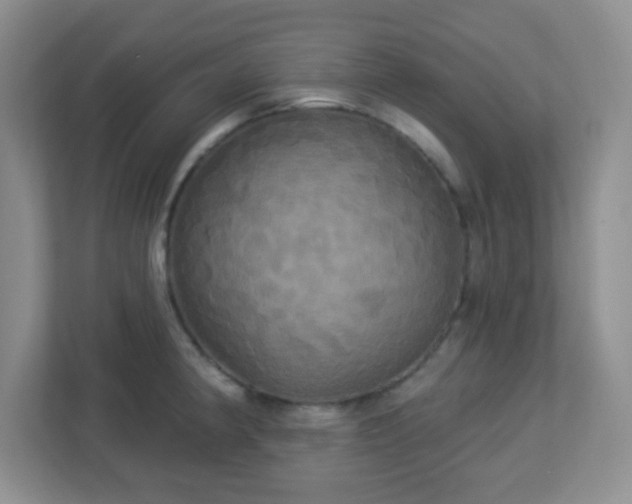 X0000113051190200909031326