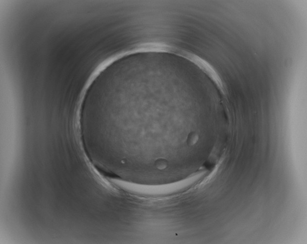 X0000113051192200909031326