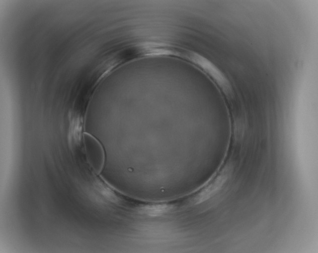 X0000113051193200909031326